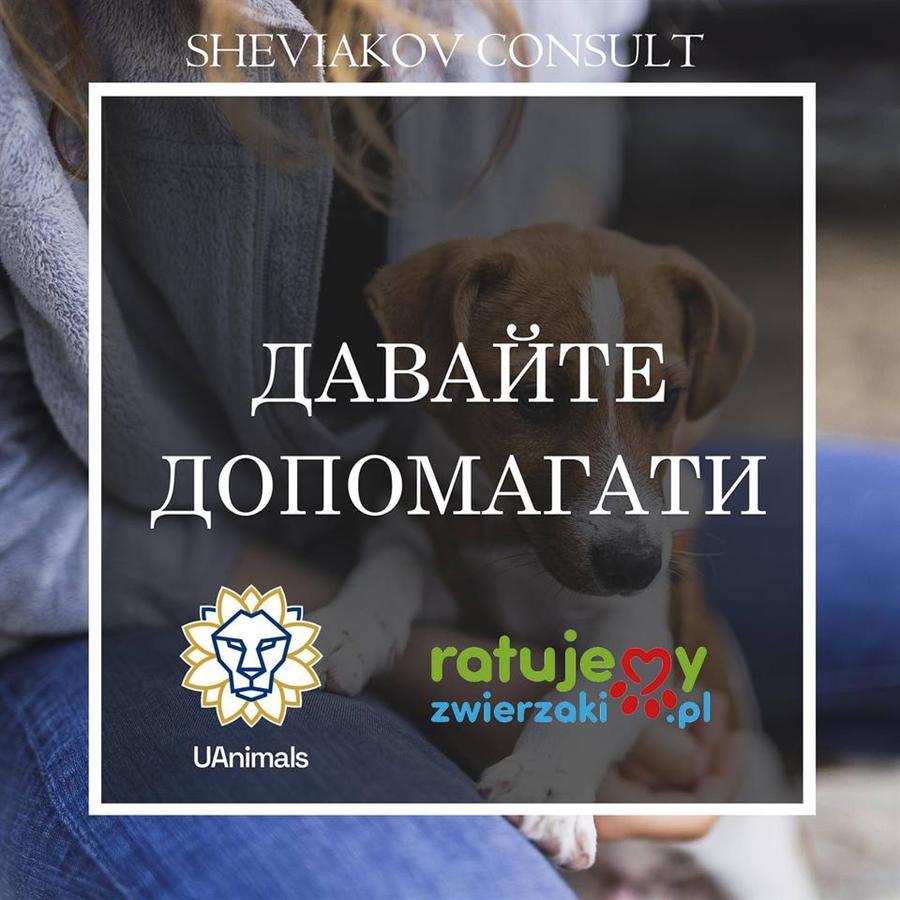 Помогать животным может каждый, и это очень легко?