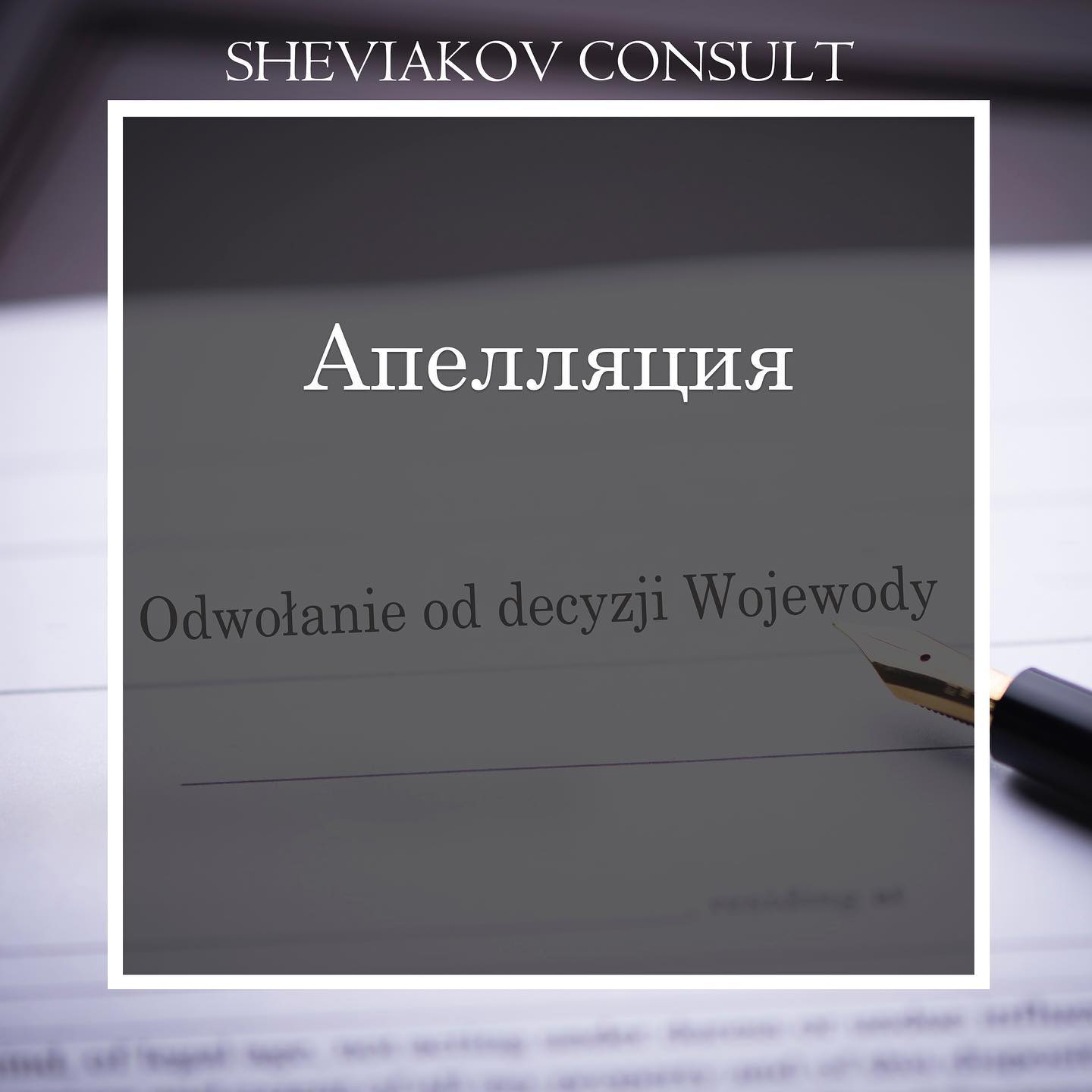 Для того, щоб правильно скласти та подати апеляцію, спочатку потрібно визначити підстави для оскарження.